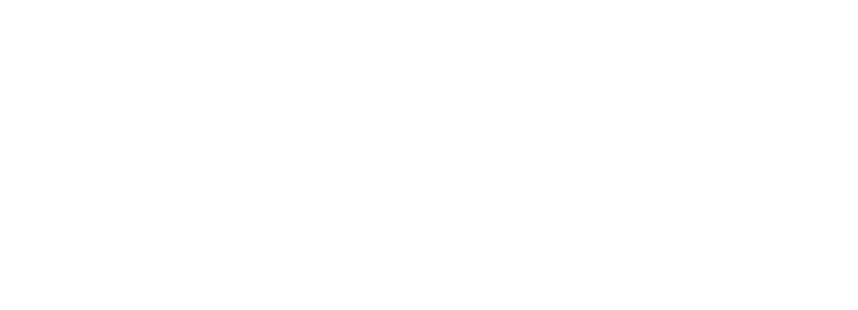 UvA logo