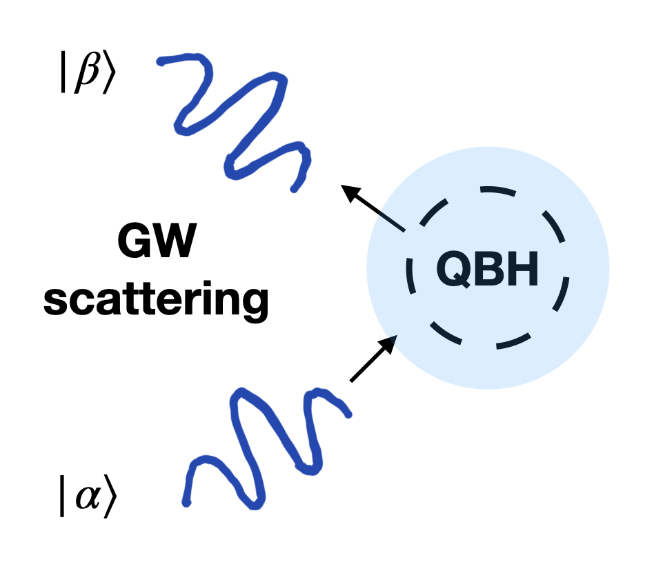 Black hole scattering diagram